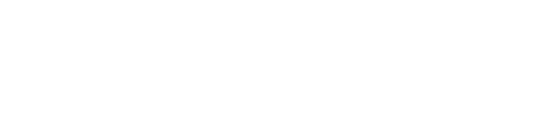 Leadlytics